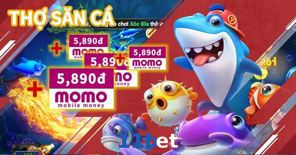11bet